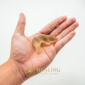 Fossilized Weasel Pearl - Type A18 - Chakra, Sacral Chakra Crystal, Meditation, Inner Wisdom, Awakened, Aura, Aura Crystal, Energy Alignment Crystal, Energy Balance Stone, Harmony
