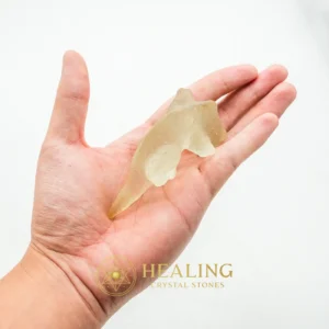Fossilized Weasel Pearl - Type A7 - Energy Shield Crystal, Negative Energy Protection, Aura Cleansing Stone, Cleansing, Purification, Warding Stone, Guardian Stone, Positive Energy, Protection, Balance