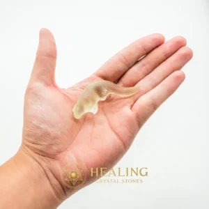 Fossilized Weasel Pearl - Type A9 - Crystal Stones, Healing Crystals, Sacred Stones, Energy Stones, Aura, Chakra, Meditation, Universal Energy, Balance, Positive Energy