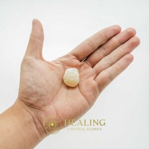 Fossilized White Tiger Testicles - Type H1 (Mini) - Bezoar Stones, Healing Crystals, Mustika Pearls, Healing Stones, Ritual Crystals, Talisman Crystals, Energy Stones, spiritual, psychic, occult
