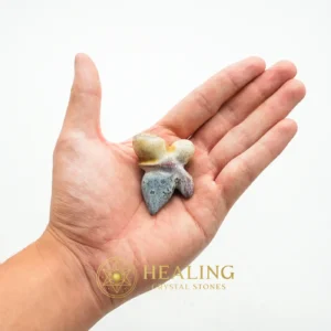 Giant Beetle - Type A1 - Esoteric Artifact, Occult Artifact, Esoteric Stone, Esoteric Crystal, Metaphysics, Psychic, Spiritualism, Mystical, Sacred, Divine