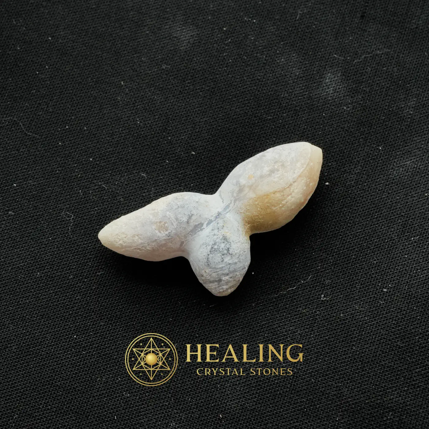 Giant Beetle - Type A2 - Mustika Pearls, Mustika Stones, Talismanic Stones, Guardian Stone, Protection, Fortune, Luck, Sacred, Mystical, Divine