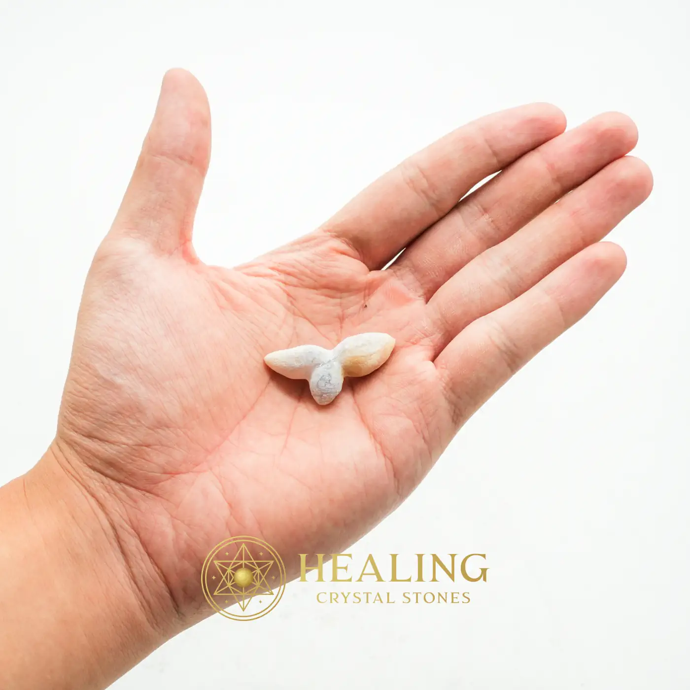 Giant Beetle - Type A2 - Healing Crystals, Crystal Stones, Sacred Crystals, Energy Stones, Aura Crystal, Meditation, Chakra, Positive Energy, Balance, Harmony