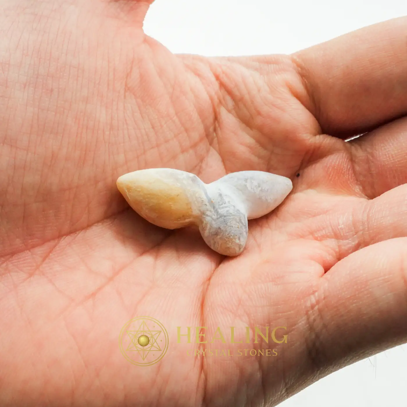 Giant Beetle - Type A2 - Bezoar Stones, Bezoar Crystals, Healing Bezoar Stones, Spirit Stone, Nature Stone, Cleansing, Purification, Aura, Harmony, Protection