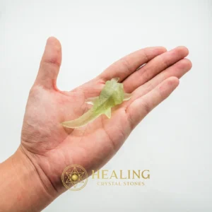 Grinting Fish Pearl - Type A3 - Esoteric Stone, Esoteric Crystal, Esoteric Artifact, Psychic, Occult, Metaphysics, Spiritualism, Mysticism, Shamanic, Spritual