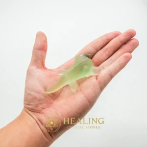 Grinting Fish Pearl - Type A5 - Animal Totem Stones, Power Animal Stones, Spirit Stone, Spirit Crystal, Nature Stone, Nature Crystal, Earth Spirit Stone, Guardian Stone, Guardian Crystal, Shamanic