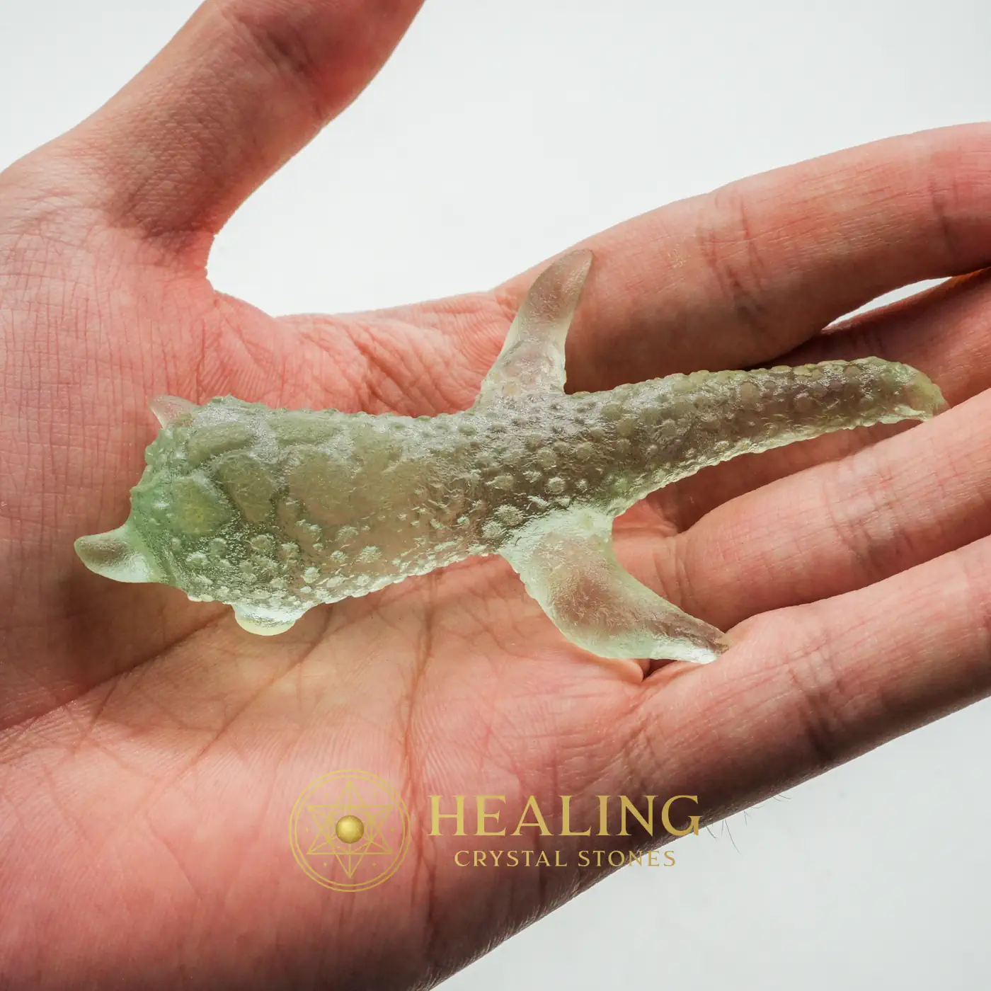 Grinting Fish Pearl - Type A7 - Warding Stone, Protective Stone, Guardian Stone, Guardian Crystal, Guardian Talisman, Guardian Amulet, Energy Shield Crystal, Negative Energy Protection, Protection, Purification