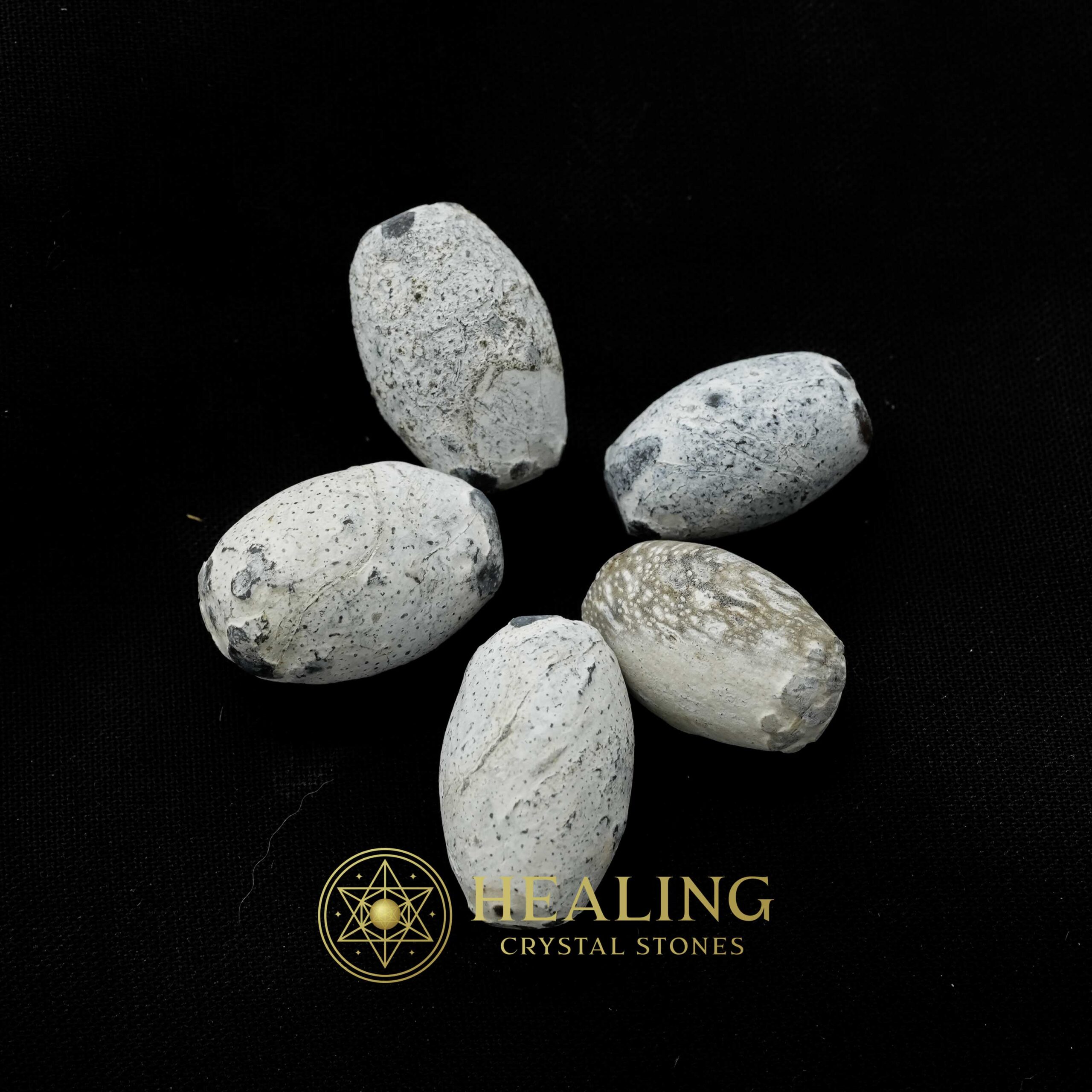 Gung Bee Hive Pearl - Type A3 - Healing Crystals, Crystal Stones, Mustika Stones, Healing Stones, Power Animal Stones, Ritual Power Stones, Talisman Crystals, shamanic, spiritual, psychic