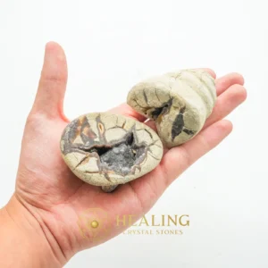 Gung Bee Honey Fossil Stones - Type A2 - Energetic, Power Animal Stones, Occult, Sacred Crystals, Chakra, Protection, Unique, Solar Crystal, Spirit Crystal, Negative Energy Protection