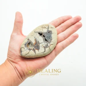 Gung Bee Honey Fossil Stones - Type A3 - Balance, Magickal Stones, Psychic, Enchanted Stones, Inner Wisdom, Warding Stone, Authentic, Life Force Stone, Guardian Talisman, Energy Alignment Crystal