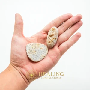 Heart of Banana Tree Pearl - Type D2 - Crystal Stones, Shamanic, Warding Stone, Positive Energy, Unique, Chakra, Purification, Fortune, Guardian Stone, Mystical Relic