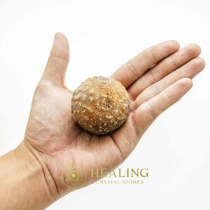 Horse Pearl - Type A1 (Male) - Bezoar Stones, Mustika Stones, Healing Crystals, Crystal Stones, Energy Stones, Ritual Crystals, Magical Crystals, Mystical, Spiritual, Occult