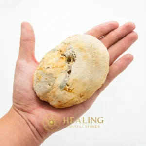 Kaboa Wood Tree Core Pearl - Type B1 - Mustika Stones, Occult, Energy Stones, Awakened, Balance, Protective Stone, Antique, Life Force Stone, Guardian Crystal, Esoteric Artifact