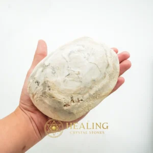 Kaboa Wood Tree Core Pearl - Type B2 - Healing Stones, Spiritualism, Ritualistic, Relic, Fortune, Luck, Ornamental, Earth Spirit Stone, Nature Stone, Spirit Crystal
