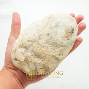 Kaboa Wood Tree Core Pearl - Type B3 - Animal Totem Stones, Spiritual, Relic, Universal Energy, Harmony, Protective Stone, Exceptional, Nature Stone, Guardian Talisman, Esoteric Stone