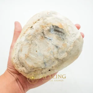 Kaboa Wood Tree Core Pearl - Type B4 - Power Animal Stones, Mystical, Occult, Energetic, Balance, Cleansing, Ornamental, Spirit Crystal, Ancient Relic, Energy Shield Crystal
