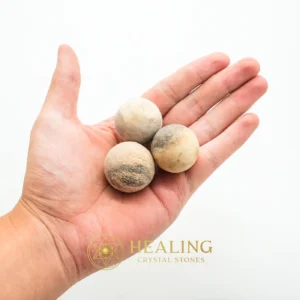 Kaboa Wood Tree Pearl - Type A1 - Ritual Crystals, Shaman, Mysticism, Sacred Crystals, Chakra, Cleansing, Exotic, Life Force Stone, Guardian Stone, Esoteric Crystal