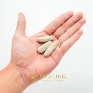 Liwung Wood Fossil - Type D1 - Artifact, Mustika Stones, Spiritual, Relic, Chakra, Cleansing, Rare, Nature Stone, Guardian Stone, Energy Shield Crystal