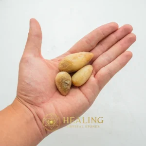 Monkey Pearl - Type H1 - Cleansing, Purification, Protection, Negative Energy Protection, Energy Shield Crystal, Aura Cleansing Stone, Warding Stone, Protective Stone, Guardian Talisman, Guardian Amulet