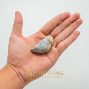Monkey Pearl - Type I2 (Black Monkey) - Healing Stones, Emotional Healing, Spiritual Healing, Meditation, Inner Wisdom, Chakra, Awakened, Harmony, Balance, Sacred