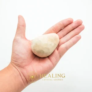 Nagasari Wood Pearl - Type D2 - Meditation, Healing Bezoar Stones, Magickal, Divine, Positive Energy, Purification, Exceptional, Spirit Stone, Mystical Relic, Energy Shield Crystal