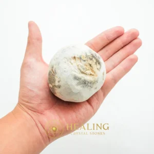 Nagasari Wood Pearl - Type D3 - Balance, Magickal Stones, Psychic, Enchanted Stones, Inner Wisdom, Warding Stone, Authentic, Life Force Stone, Guardian Talisman, Energy Alignment Crystal