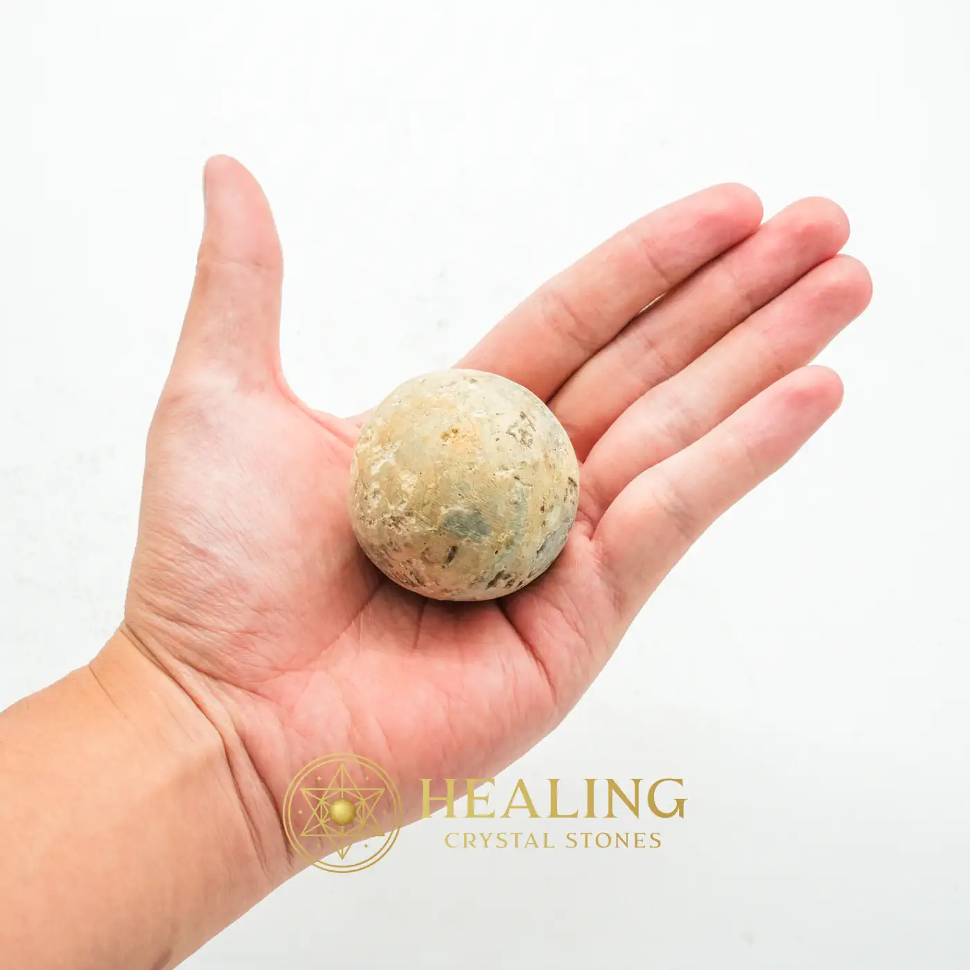 Nagasari Wood Pearl - Type E1 - Mysticism, Magickal Crystals, Metaphysics, Divine, Energetic, Purification, Exotic, Earth Spirit Stone, Guardian Stone, Aura Cleansing Stone