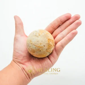 Nagasari Wood Pearl - Type E2 - Balance, Magickal Stones, Psychic, Enchanted Stones, Inner Wisdom, Warding Stone, Authentic, Life Force Stone, Guardian Talisman, Energy Alignment Crystal