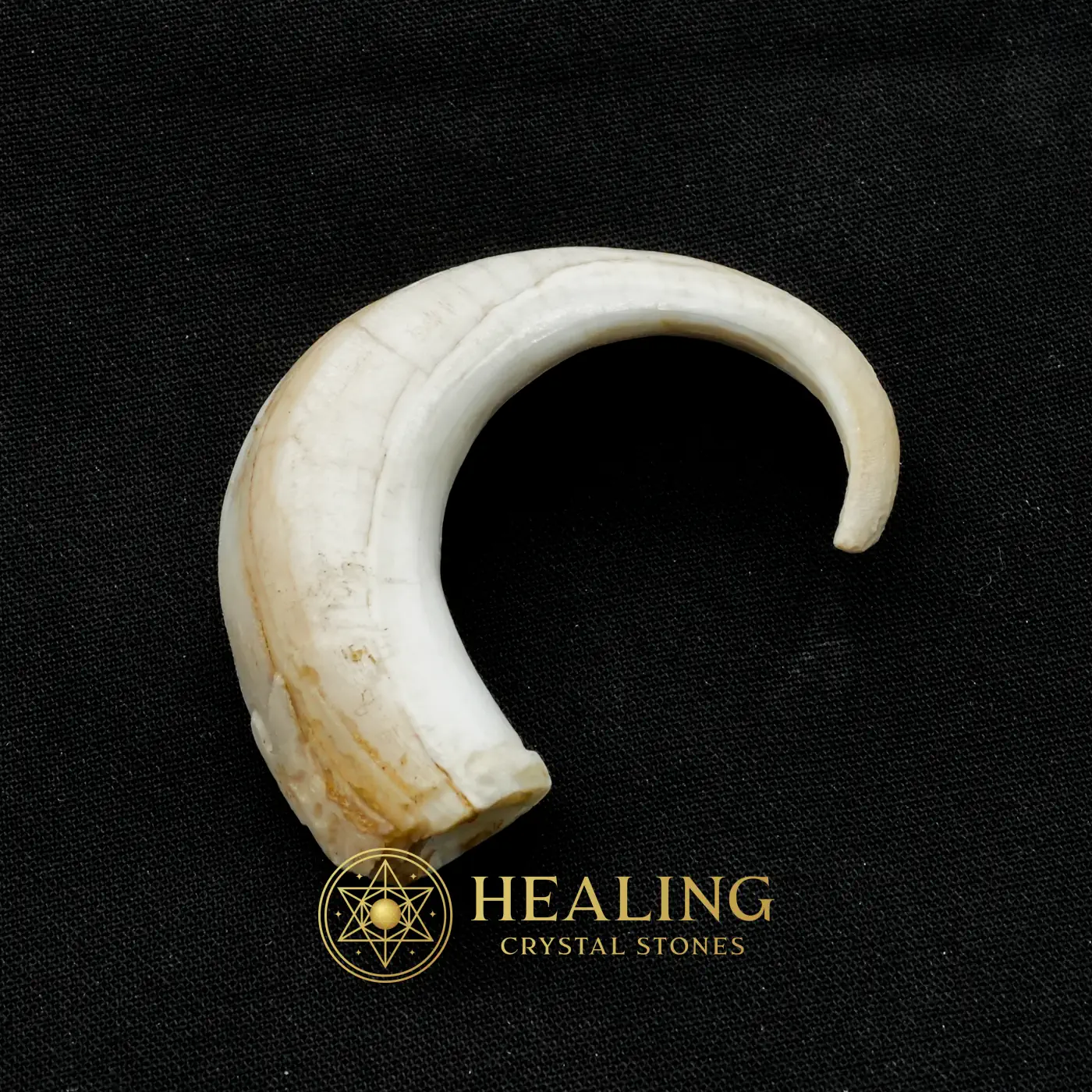 Orang Utan Claws Fossil Type A - Healing Bezoar Stones, Bezoar Crystals, Bezoar Stones, Healing Crystals, Healing Stones, Spiritual Crystals, Rare, Ancient Relic, Mystical Relic, Authentic