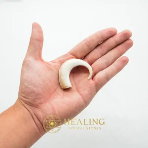 Orang Utan Claws Fossil Type A - Power Animal Stones, Animal Totem Stones, Guardian Crystal, Guardian Stone, Spirit Crystal, Spirit Stone, Nature Stone, Nature Crystal, Shaman, Shamanic