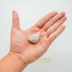 Orangutan Pearl - Type D1 - Healing Stones, Spiritual Crystals, Spiritualism, Spiritual Healing, Emotional Healing, Meditation, Inner Wisdom, Awakened, Aura, Chakra