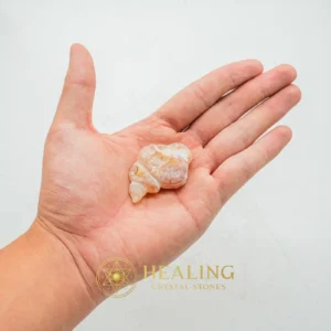 Orangutan Pearl - Type D3 - Cleansing, Purification, Protection, Negative Energy Protection, Energy Shield Crystal, Aura Cleansing Stone, Warding Stone, Protective Stone, Guardian Talisman, Guardian Amulet