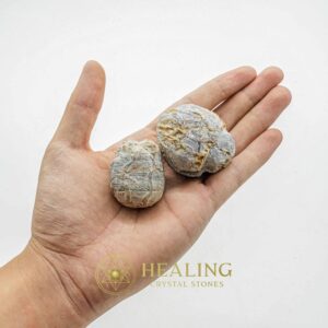 Orangutan Pearls - Type B2 - Animal Totem Stones, Mustika Pearls, Healing Crystals, Talismans Stones, Magical Stones, Ritual Crystals, Energy Stones, shamanic, psychic, mystical
