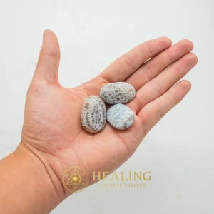 Porcupine Pearl – Type H1 - Mustika Pearls, Mustika Stones, Talismanic Stones, Talisman Crystals, Amulet Stones, Talismans Stones, Fortune, Luck, Authentic, Exotic
