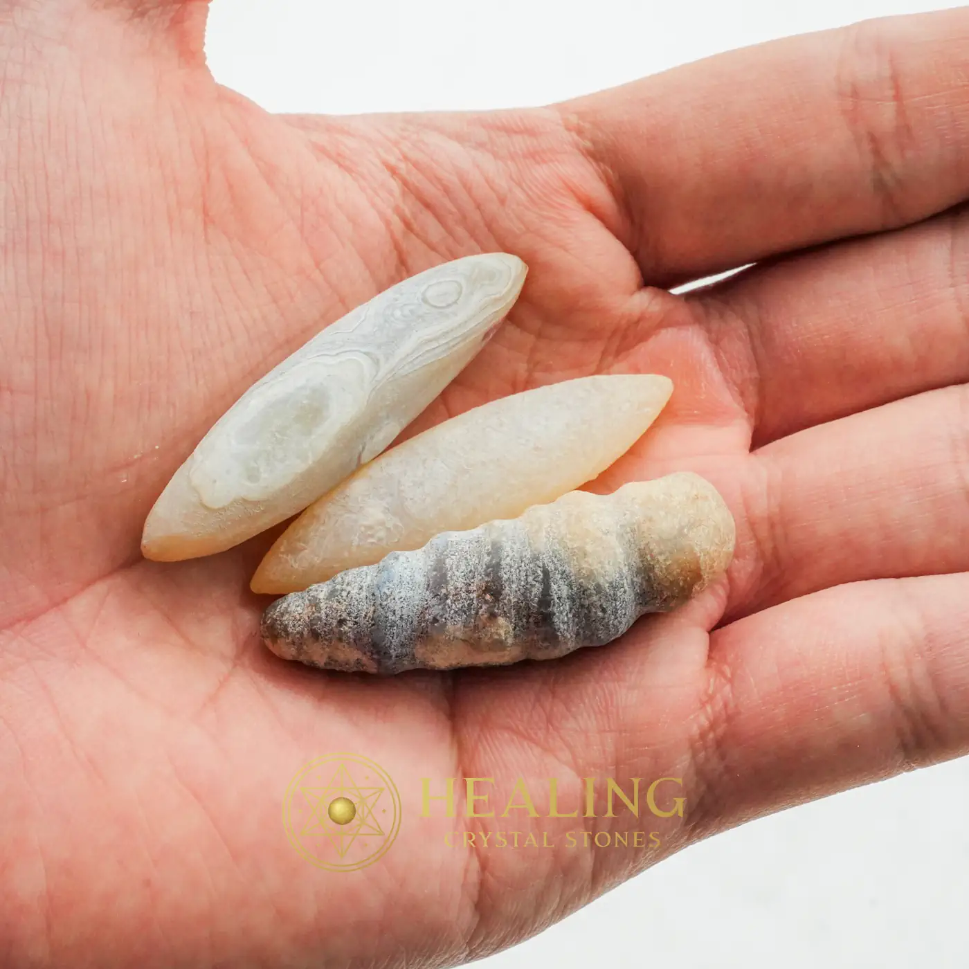 Porcupine Pearls - Type A - Bezoar Stones, Bezoar Crystals, Healing Bezoar Stones, Artifact, Relic, Ancient Relic, Mystical Relic, Antique, Exotic, Exceptional