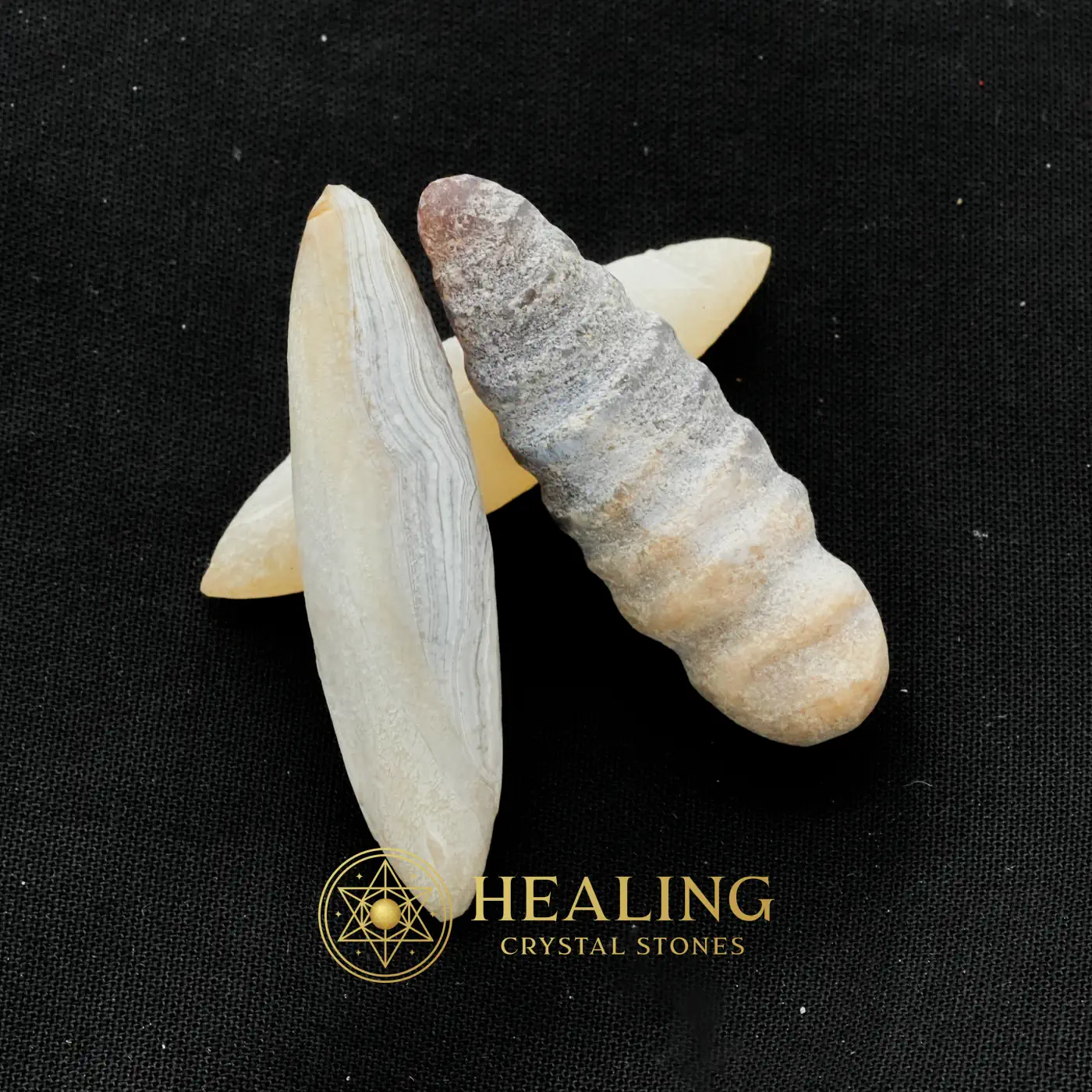 Porcupine Pearls - Type A -Amulet Stones, Guardian Amulet, Protective Stone, Warding Stone, Protection, Divine, Mystical, Enchanted Stones, Rare, Ornamental
