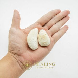 Porcupine Pearls - Type A2 (Male) - Power Animal Stones, Healing Crystals, Crystal Stones, Spiritual Crystals, Energy Stones, Magickal Stones, Ritual Crystals, psychic, mystical, spiritualism
