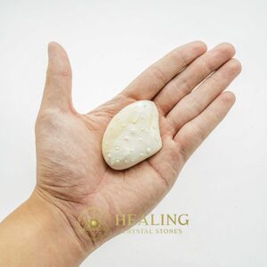 Porcupine Pearls - Type A3 (Male) - Power Animal Stones, Healing Crystals, Crystal Stones, Spiritual Crystals, Energy Stones, Magickal Stones, Ritual Crystals, psychic, mystical, spiritualism