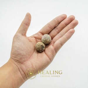 Porcupine Pearls - Type D1 - Bezoar Stones, Healing Stones, Talismans Stones, Crystal Stones, Magical Stones, Enchanted Stones, Ritual Power Stones, metaphysics, occult, magical