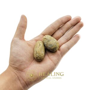 Porcupine Pearls - Type D3 - Animal Totem Stones, Mustika Pearls, Healing Crystals, Talismans Stones, Magical Stones, Ritual Crystals, Energy Stones, psychic, mystical, metaphysics