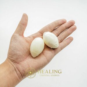 Porcupine Pearls - Type F1 - Power Animal Stones, Crystal Stones, Spiritual Crystals, Healing Stones, Enchanted Stones, Magickal Stones, Ritual Power Stones, magical, occult, shamanic