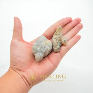 Porcupine Pearls - Type G1 - Shamanic, Shaman, Mysticism, Metaphysics, Spiritualism, Spritual, Psychic, Occult, Esoteric Stone, Esoteric Crystal