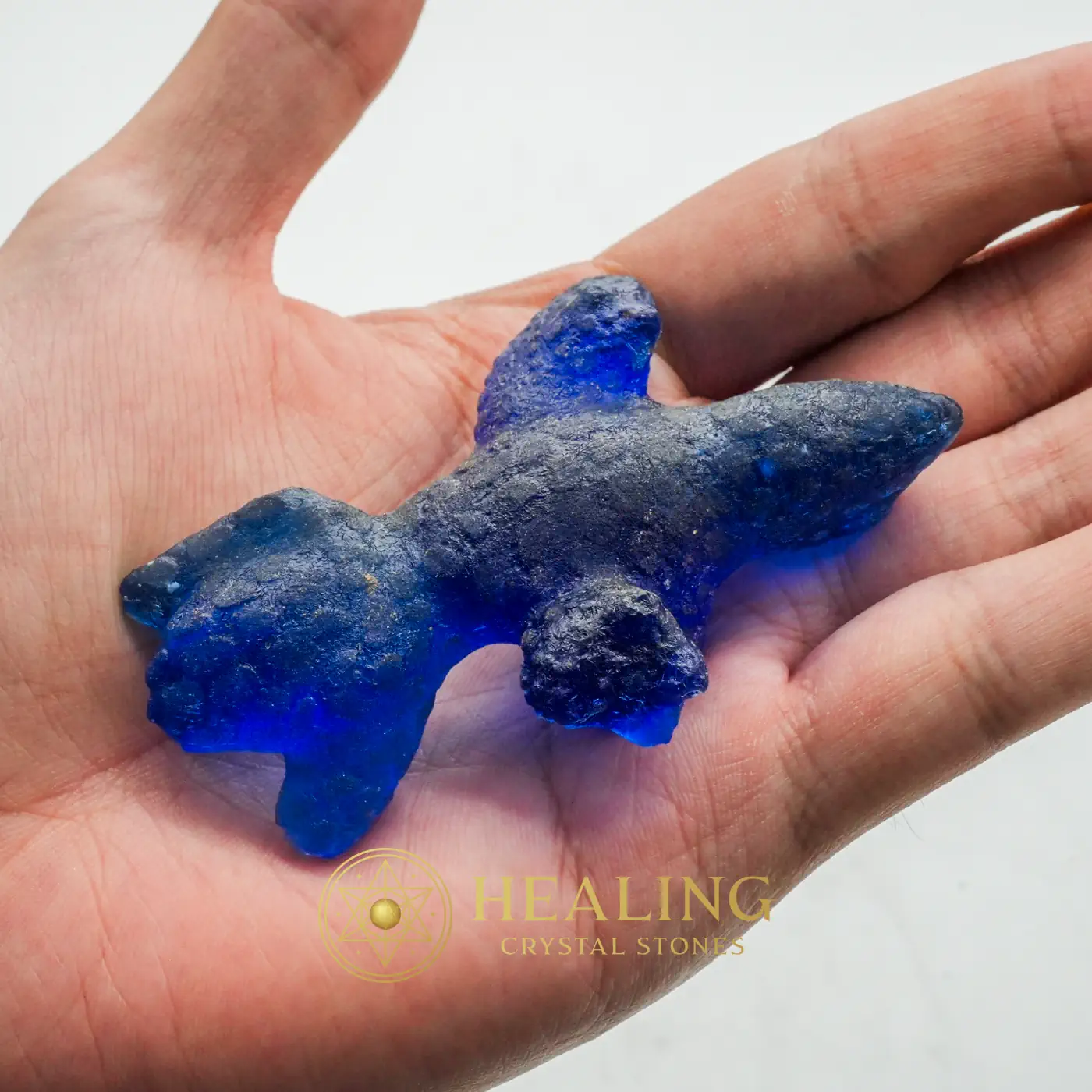 Prehistoric Sea Creatures - Type B1 - Nature Crystal, Nature Stone, Spirit Stone, Spirit Crystal, Earth Spirit Stone, Animal Totem Stones, Power Animal Stones, Shamanic, Shaman, Inner Wisdom