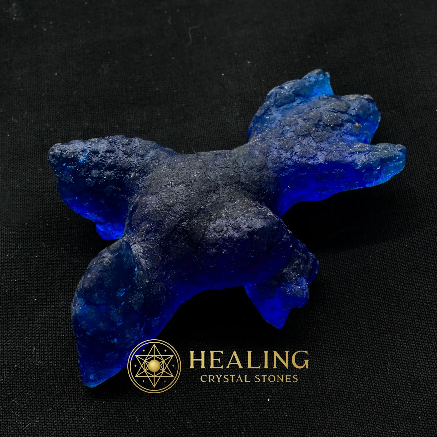 Prehistoric Sea Creatures - Type B1 - Energy Balance Stone, Energy Alignment Crystal, Sacral Chakra Crystal, Solar Crystal, Life Energy Crystal, Aura Crystal, Meditation, Universal Energy, Balance, Harmony