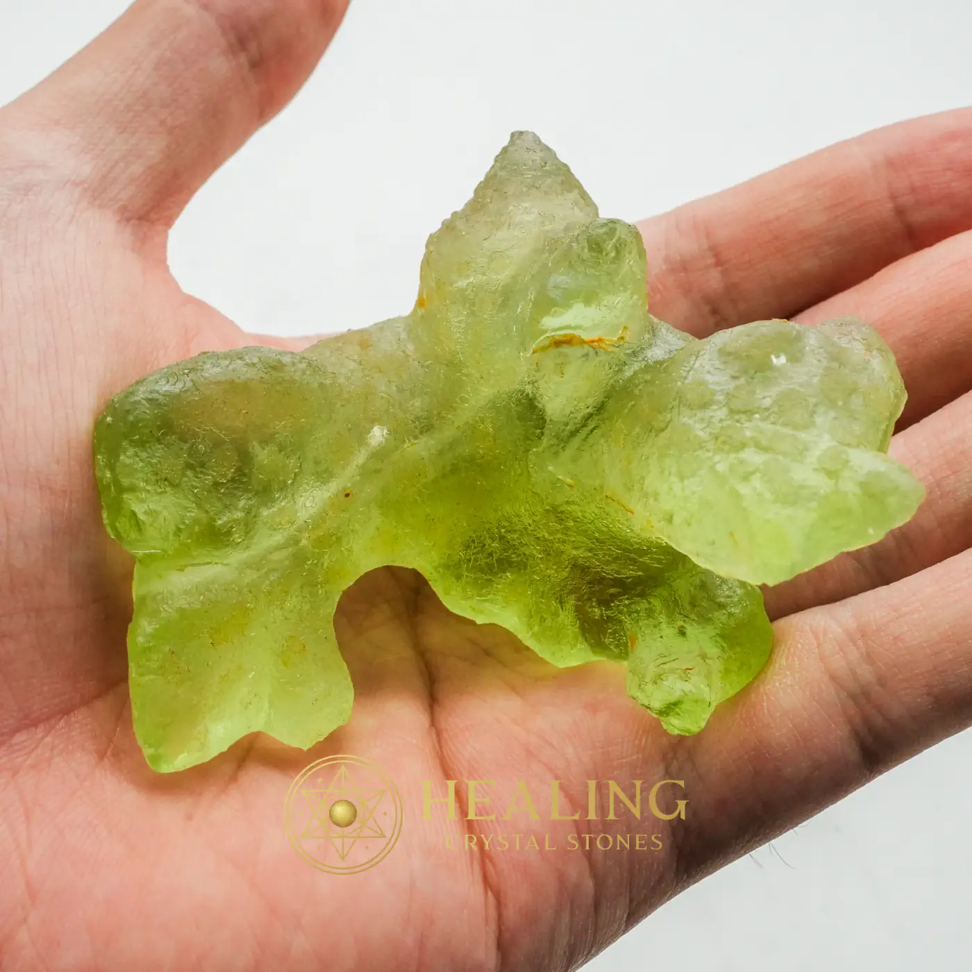 Prehistoric Sea Creatures - Type B10 - Solar Crystal, Earth Spirit Stone, Nature Crystal, Nature Stone, Spirit Stone, Spirit Crystal, Life Force Stone, Life Energy Crystal, Divine, Sacred
