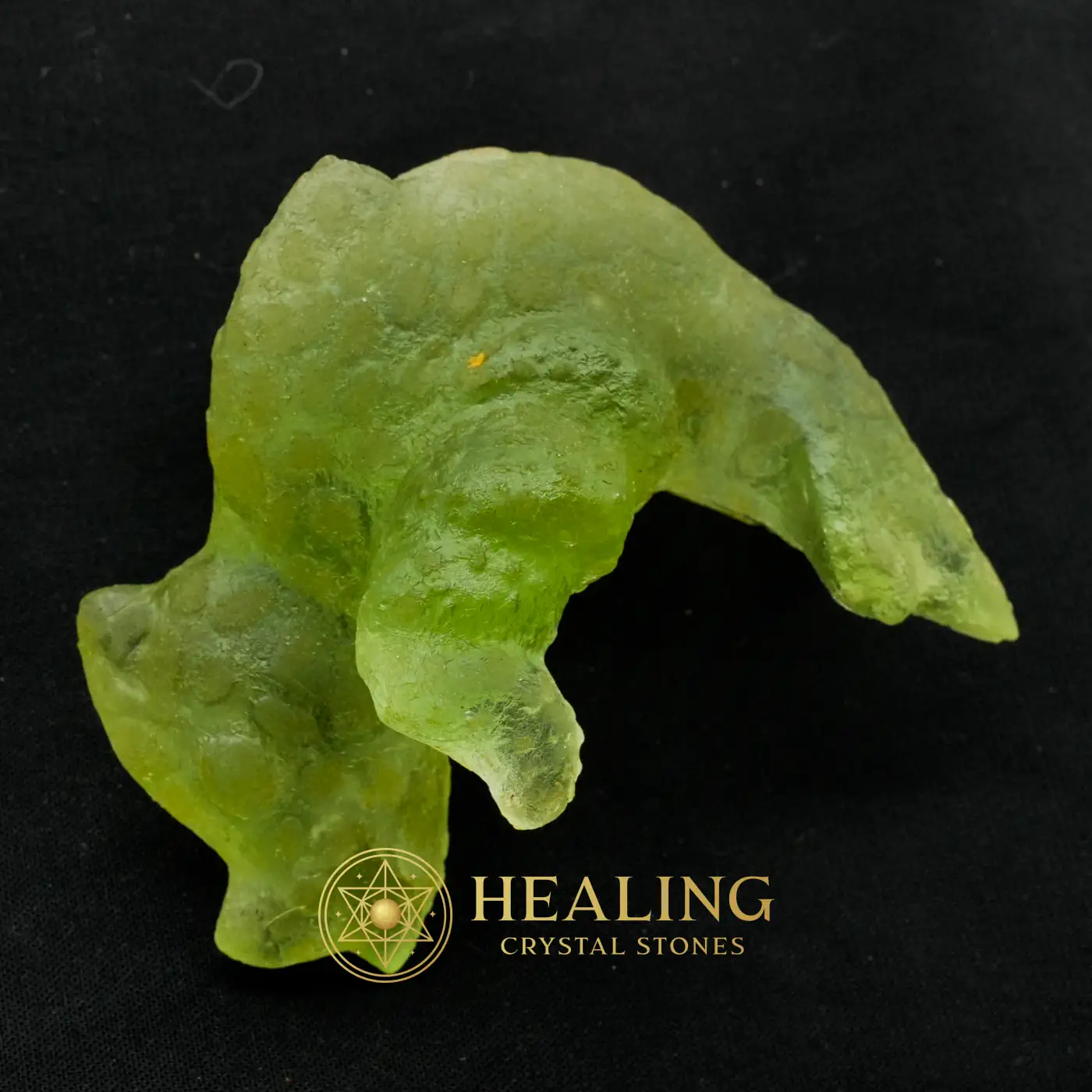Prehistoric Sea Creatures - Type B10 - Sacral Chakra Crystal, Chakra, Energy Alignment Crystal, Energy Balance Stone, Aura Crystal, Aura Cleansing Stone, Universal Energy, Energetic, Harmony, Balance