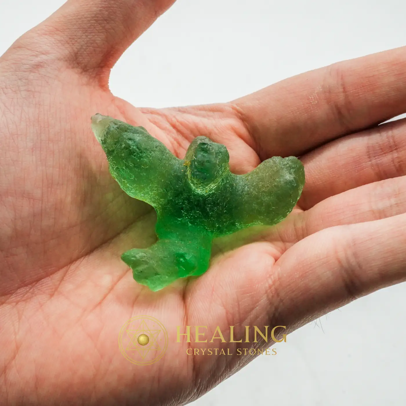 Prehistoric Sea Creatures - Type B2 - Bezoar Stones, Bezoar Crystals, Spirit Stone, Guardian Stone, Nature Crystal, Aura Crystal, Cleansing, Purification, Harmony, Positive Energy