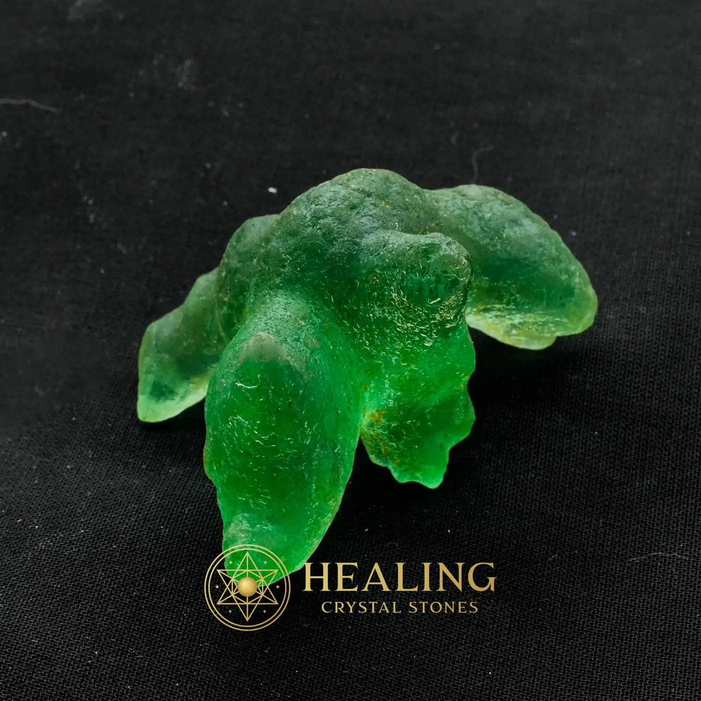 Prehistoric Sea Creatures - Type B2 - Healing Crystals, Crystal Stones, Mustika Pearls, Mustika Stones, Talismanic Stones, Sacred Crystals, Guardian Crystal, Protection, Fortune, Divine