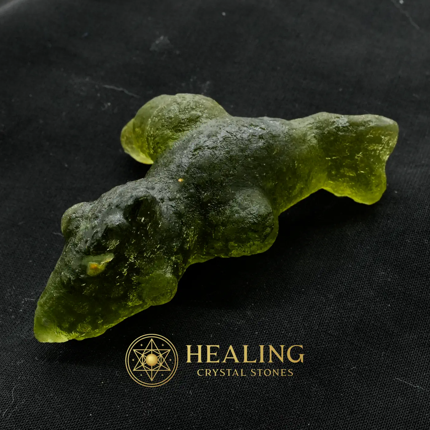 Prehistoric Sea Creatures - Type B3 - Warding Stone, Protective Stone, Guardian Crystal, Guardian Talisman, Energy Shield Crystal, Aura Cleansing Stone, Negative Energy Protection, Cleansing, Protection, Luck