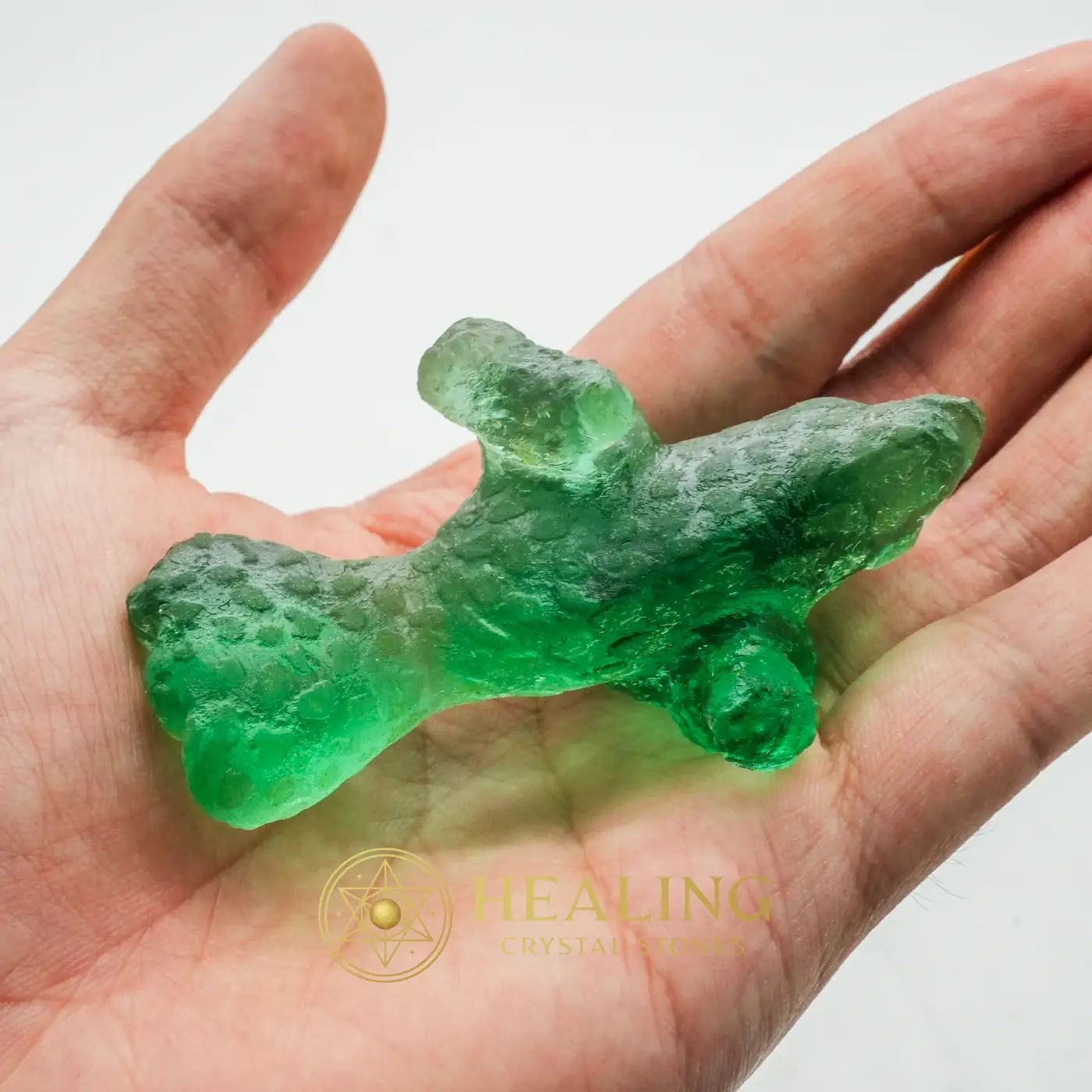 Prehistoric Sea Creatures - Type B4 - Healing Stones, Spiritual Crystals, Healing Crystals, Emotional Healing, Spiritual Healing, Meditation, Chakra, Aura Crystal, Balance, Positive Energy